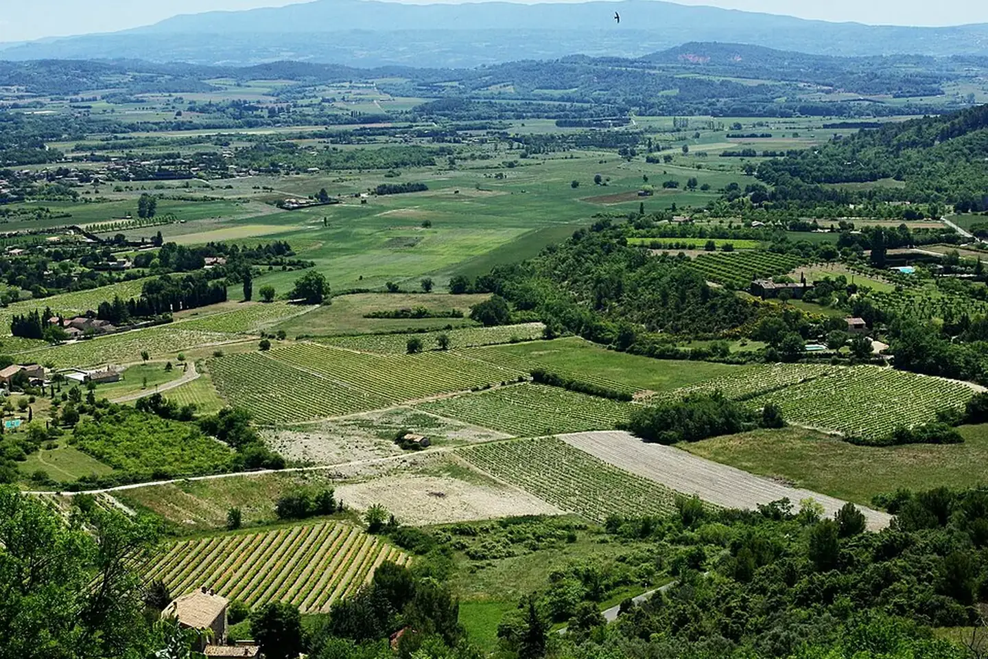 Vineyards and rolling countryside in Provence, France