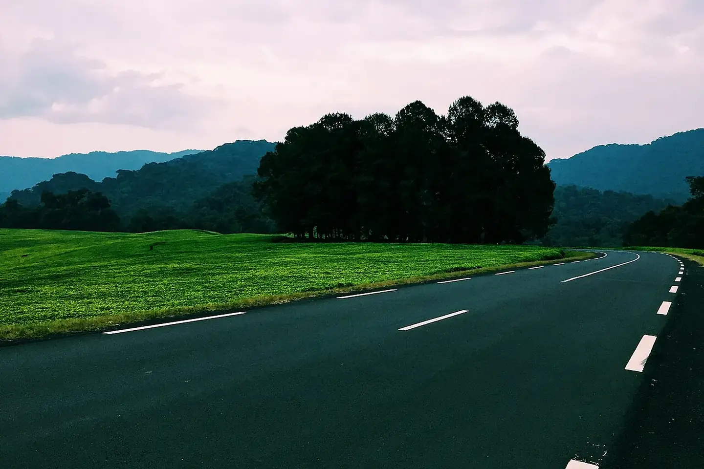 A scenic road through the green highlands of Nyungwe National Park, Rwanda